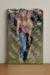 Evenement foto: Zomerfestival Serie 2588