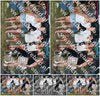 Evenement foto: Zomerfestival Serie 2589