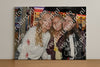 Evenement foto: Zomerfestival Serie 2589