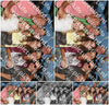 Evenement foto: Zomerfestival Serie 2589