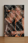 Evenement foto: Zomerfestival Serie 2590