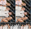 Evenement foto: Zomerfestival Serie 2590