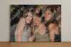 Evenement foto: Zomerfestival Serie 2590