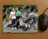 Evenement foto: Serie 435