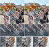 Evenement foto: Serie 436