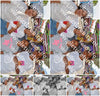 Evenement foto: Serie 436