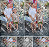 Evenement foto: Serie 436