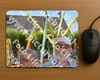 Evenement foto: Serie 437