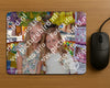 Evenement foto: Serie 437