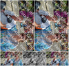 Evenement foto: Serie 437