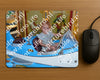 Evenement foto: Serie 437