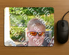 Evenement foto: Serie 438