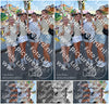 Evenement foto: Serie 439