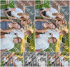 Evenement foto: Serie 440