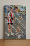 Evenement foto: Serie 441