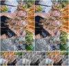 Evenement foto: Serie 441