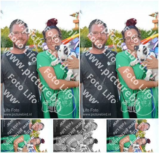 Evenement foto: Serie 441