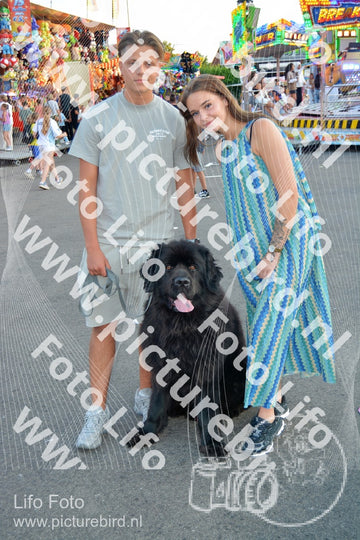 Evenement foto: Serie 441