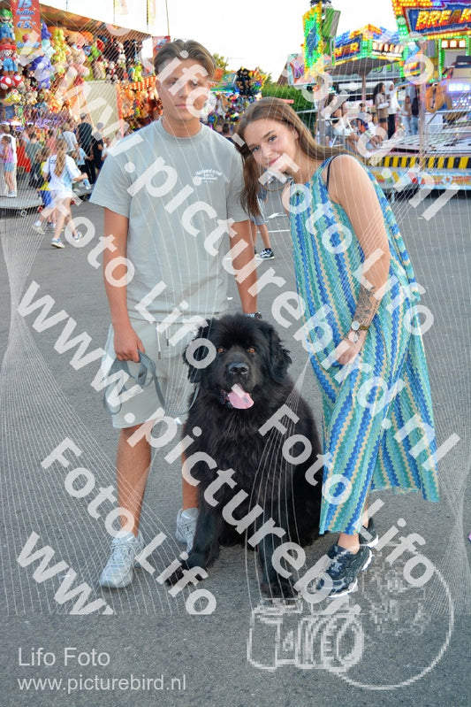 Evenement foto: Serie 441
