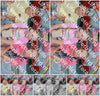 Evenement foto: Serie 441