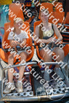 Evenement foto: Helmond 611