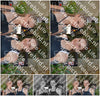 Evenement foto: Helmond 610