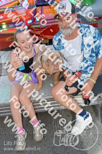 Evenement foto: Schijndel 615