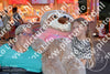 Evenement foto: Schijndel 615