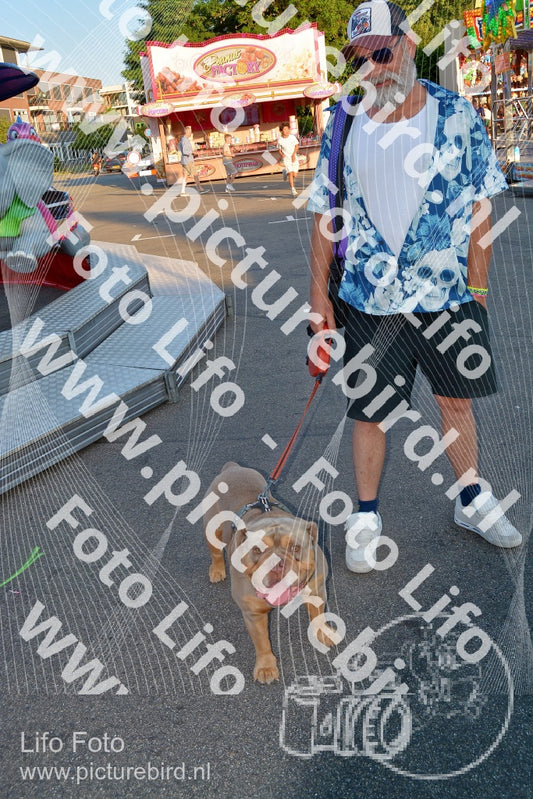 Evenement foto: Schijndel 613