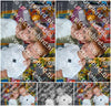 Evenement foto: Schijndel 613