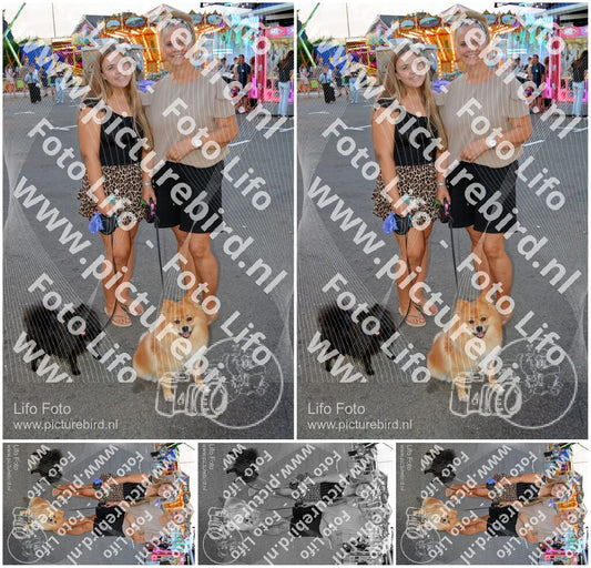 Evenement foto: 614