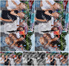 Evenement foto: 614