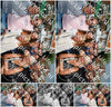 Evenement foto: 294