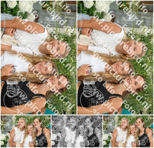 Evenement foto: 294