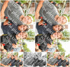 Evenement foto: 293