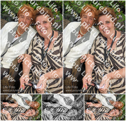 Evenement foto: 293