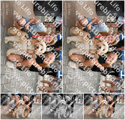 Evenement foto: 291