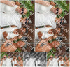 Evenement foto: 291