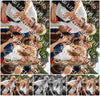 Evenement foto: 290