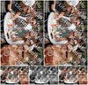 Evenement foto: 290