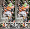 Evenement foto: 290