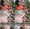 Evenement foto: 289