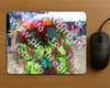 Evenement foto: 2639