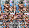 Evenement foto: 2639