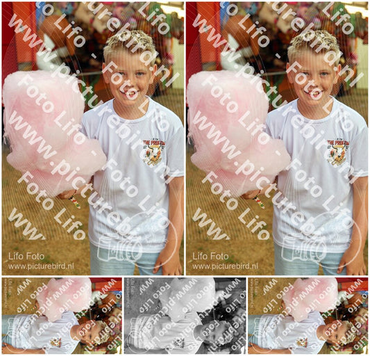 Evenement foto: 2639