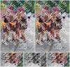 Evenement foto: 2638