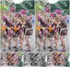 Evenement foto: 2638