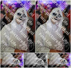 Evenement foto: 2638