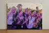 Evenement foto: 2638