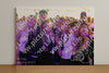 Evenement foto: 2638